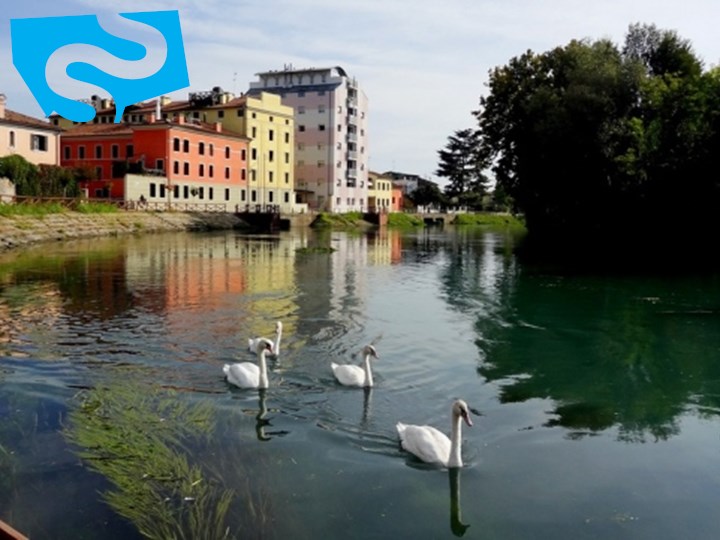 Attici/Mansarde a Treviso